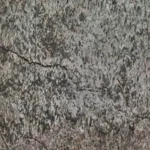 Fornir Kamienny GOLDEN GREEN 122 x 280 cm