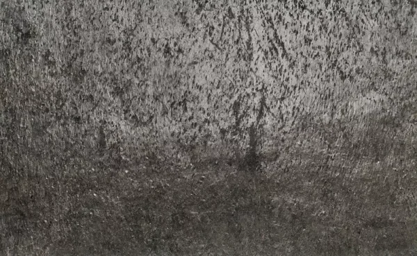 Fornir Kamienny |SILVER SHINE 122 X 280 cm